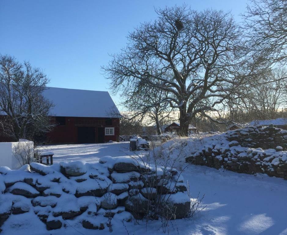 Rosenborgs Friluftspensionat Färjestaden Esterno foto