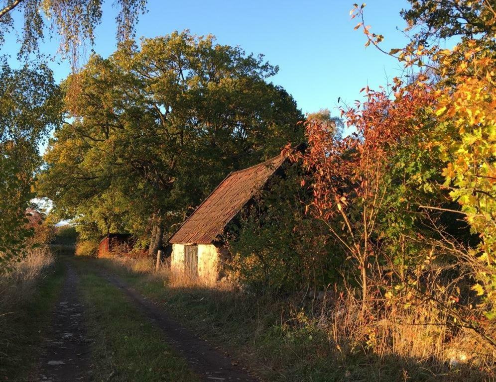 Rosenborgs Friluftspensionat Färjestaden Esterno foto