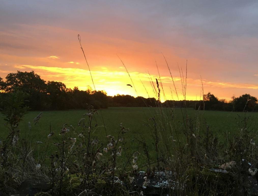 Rosenborgs Friluftspensionat Färjestaden Esterno foto