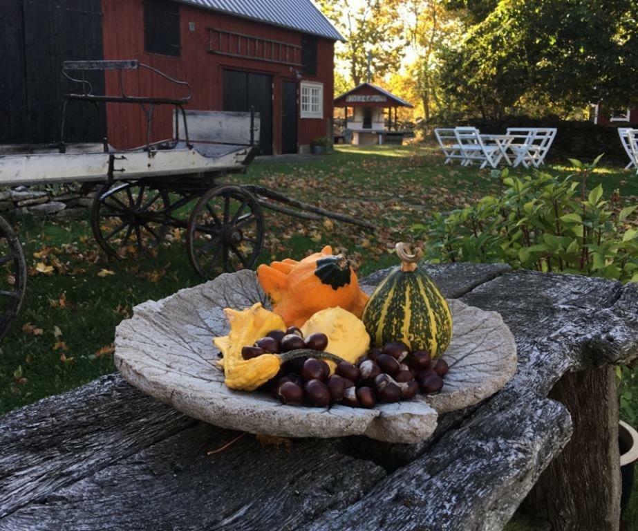 Rosenborgs Friluftspensionat Färjestaden Esterno foto