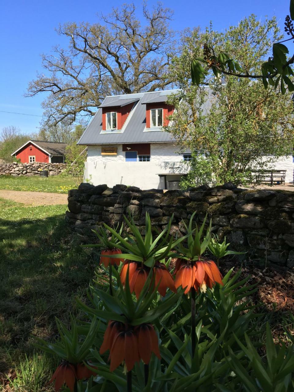 Rosenborgs Friluftspensionat Färjestaden Esterno foto