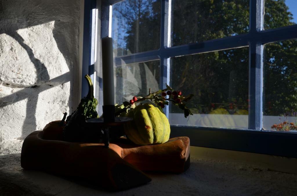 Rosenborgs Friluftspensionat Färjestaden Esterno foto