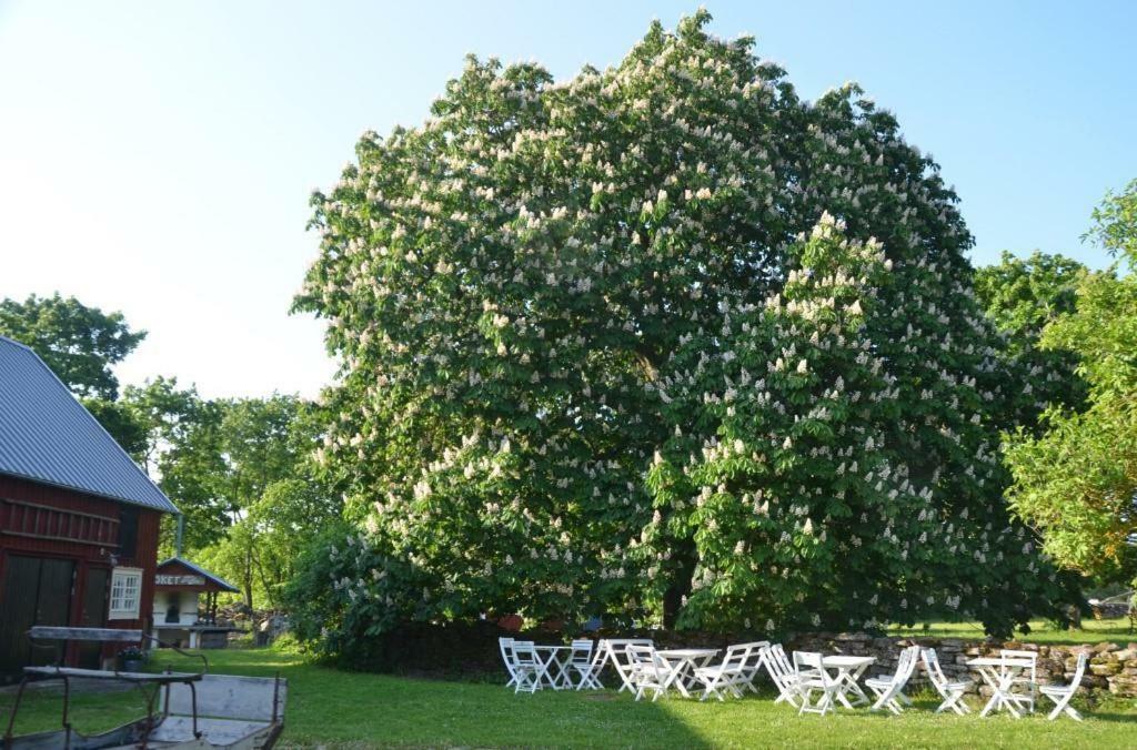 Rosenborgs Friluftspensionat Färjestaden Esterno foto